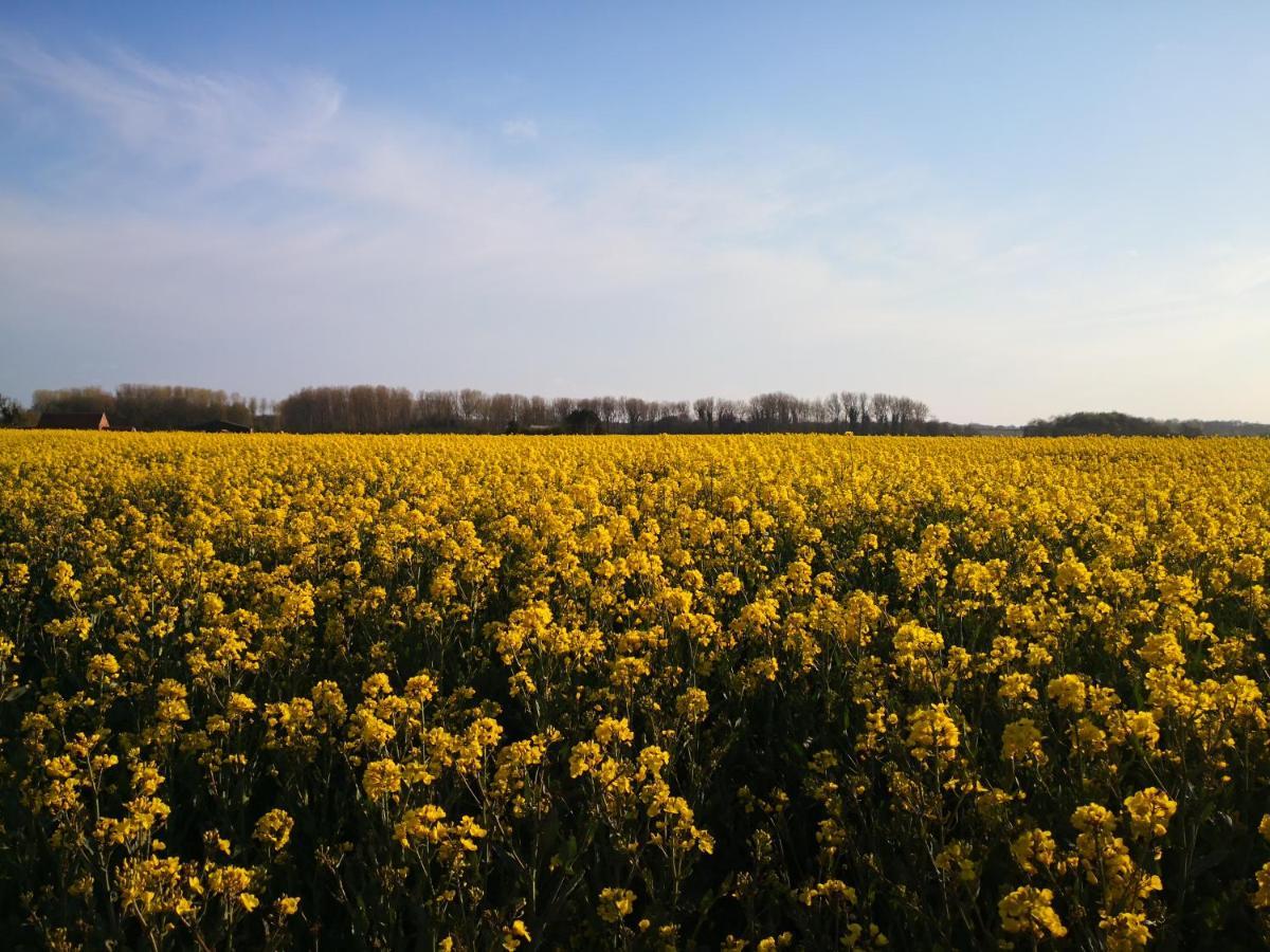Hotel Ashcroft Glamping Dereham Zewnętrze zdjęcie